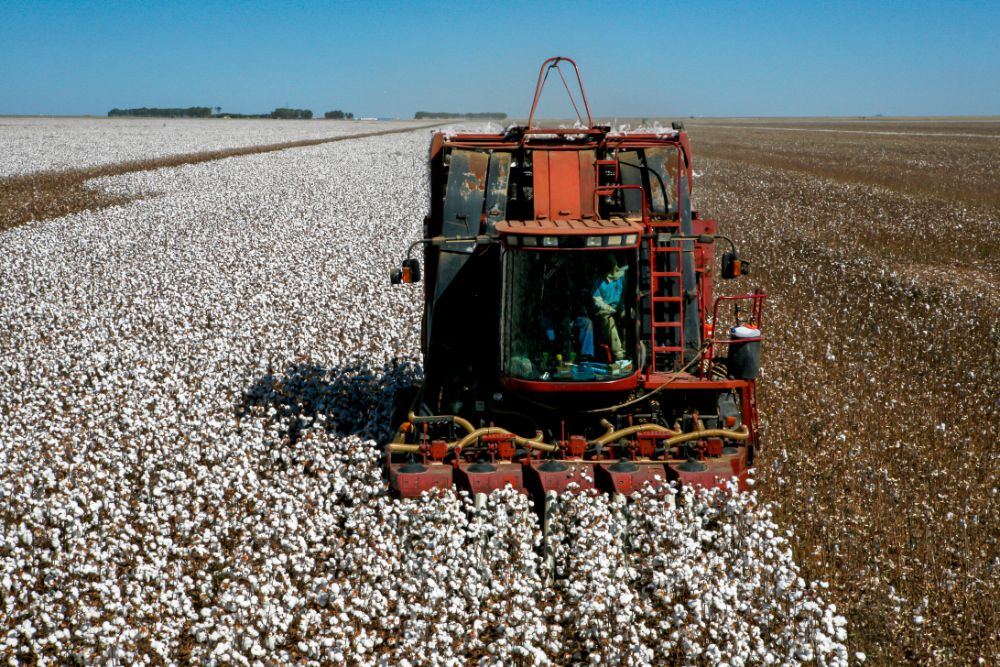 cotton harvesters