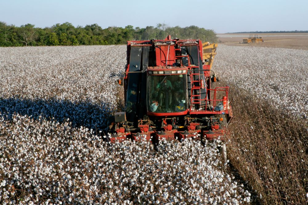 How Often Should I Replace the Picking Units on My Cotton Harvester?