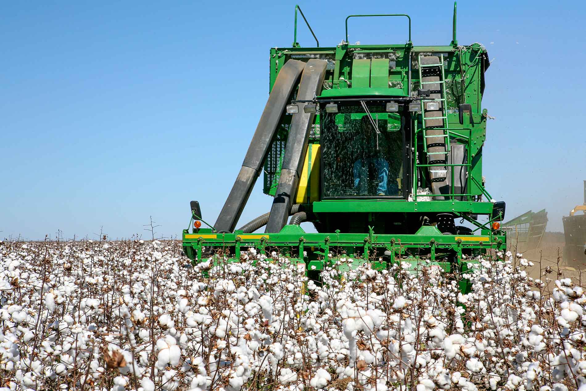 cotton harvester