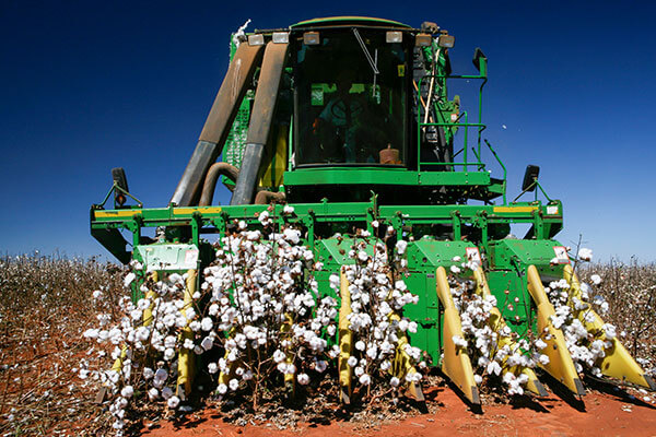 Exploring the Evolution of Cotton Pickers