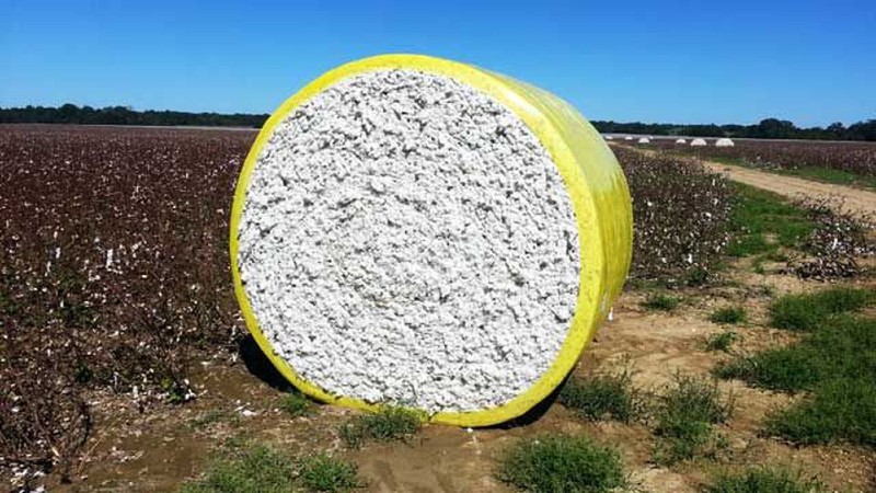 How Much Does A Single Bale Of Cotton Weigh