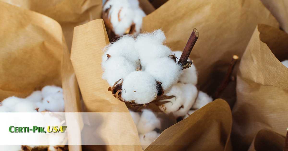 What is Pima Cotton - Certi-Pik, USA