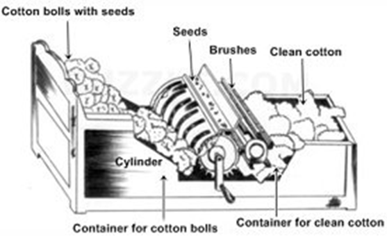 When Was The Cotton Gin Invvented What It Does