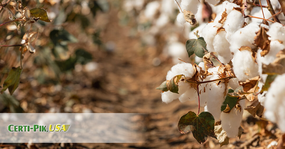 Common Cotton-Picking Tools Customers Require