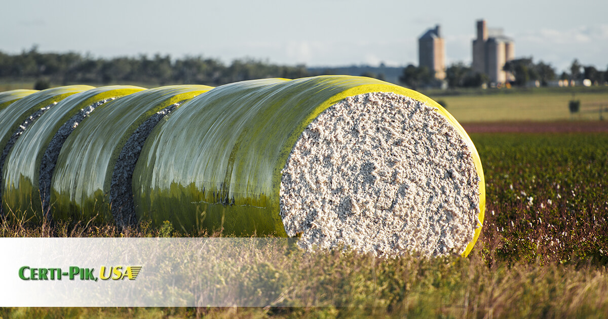 How Much Does a Bale of Cotton Cost?